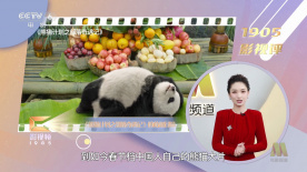 国产精品福利视频在线观看